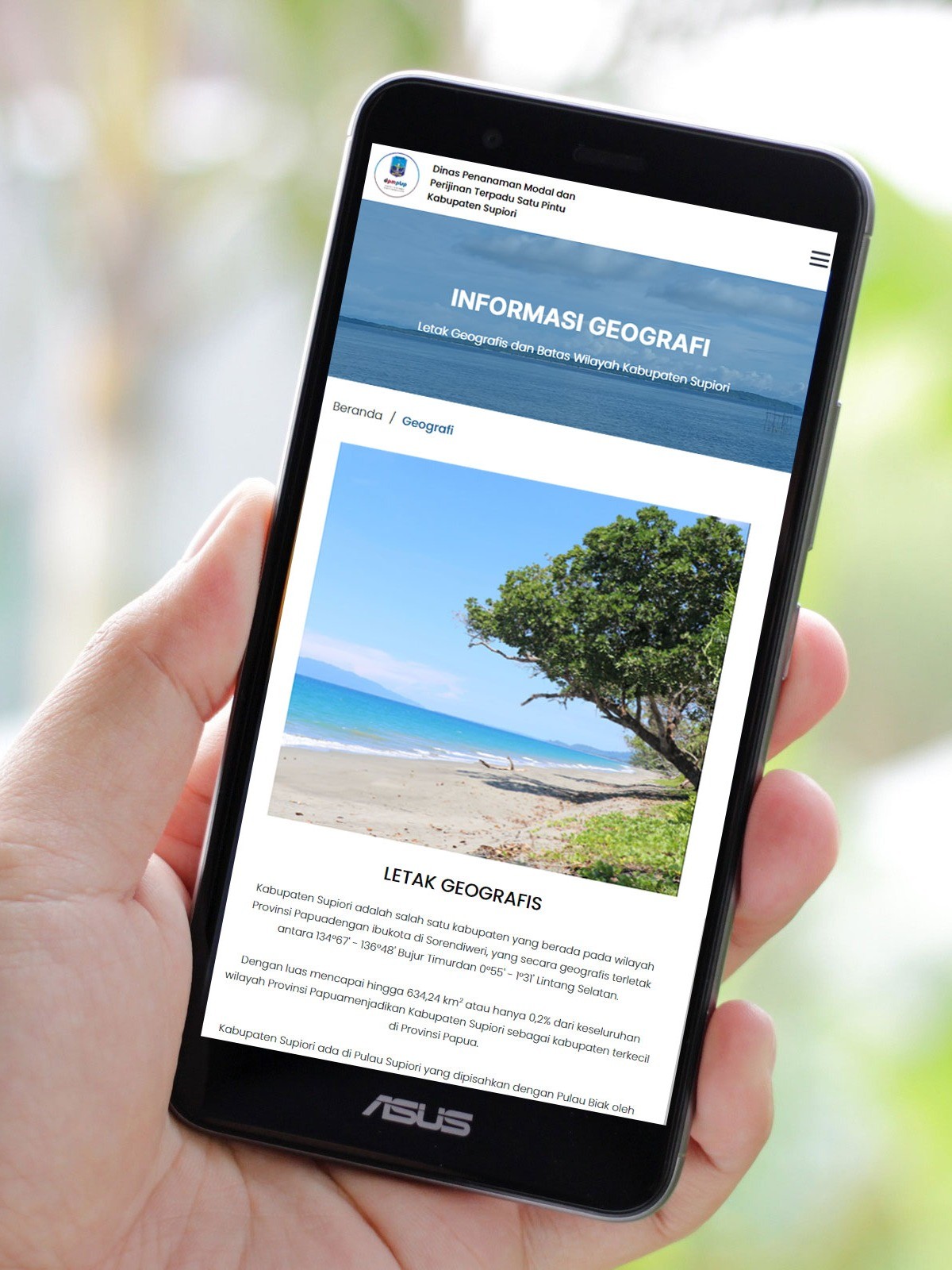 Fitur Website DPMPTSP Supiori